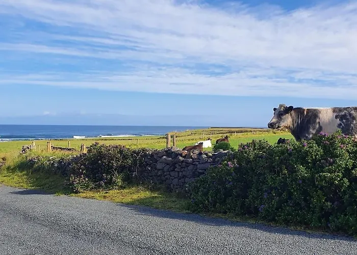 Wild Atlantic Seaside Semesterbostad *